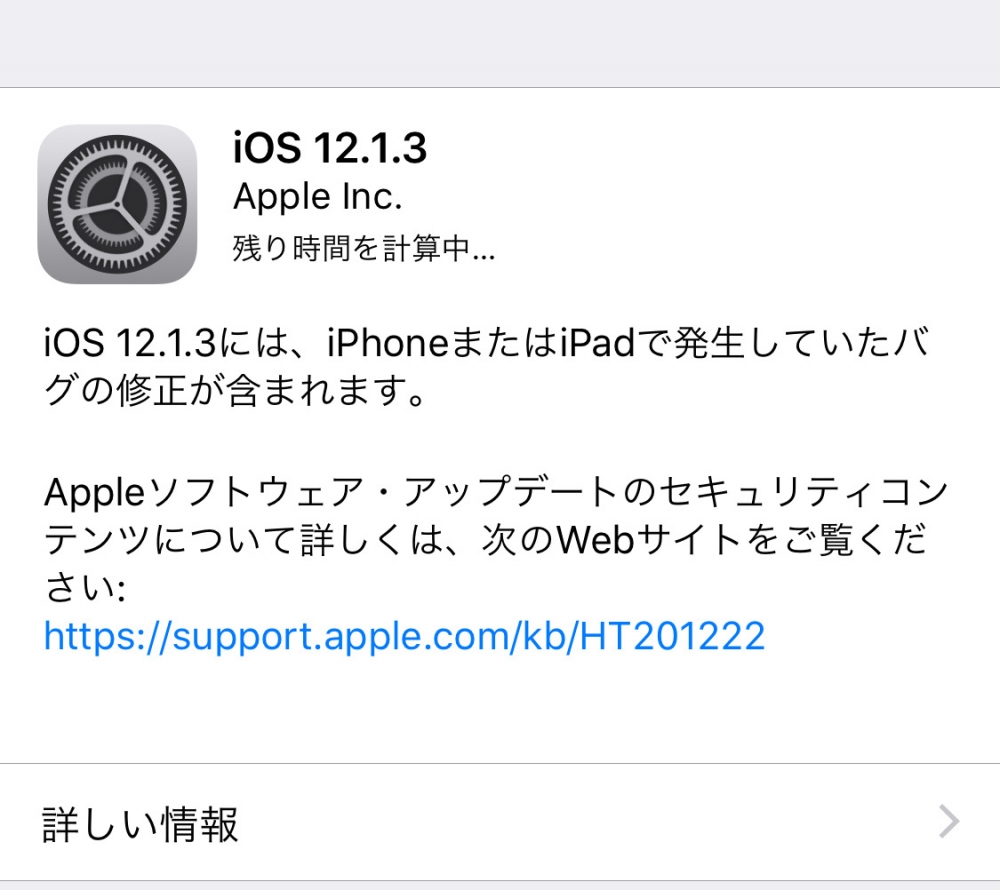 iOS12.1.3